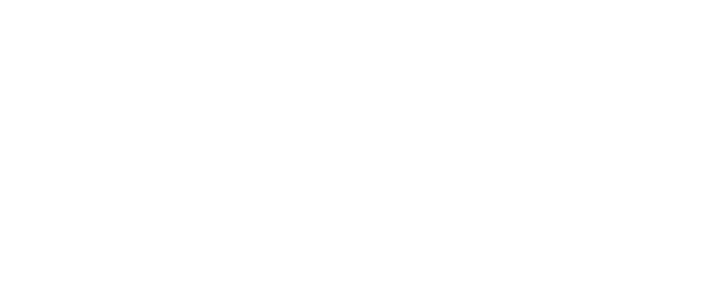logo branca (2)
