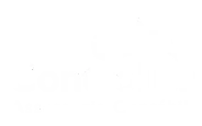 controller-white